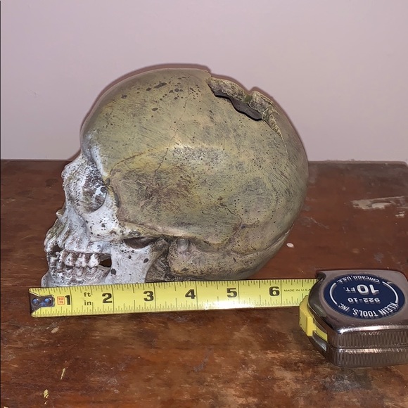 skeleton head - Picture 3 of 4